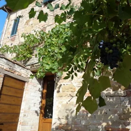 Le Rondini Petrignano