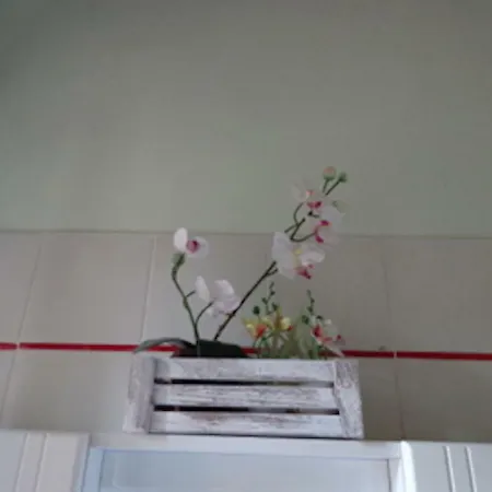 Apartment Le Rondini *