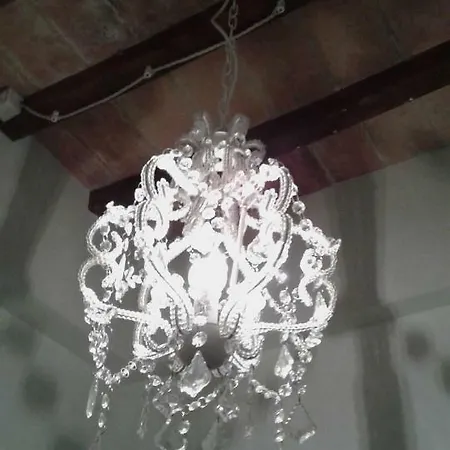 Le Rondini *