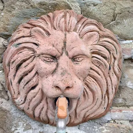 Le Rondini Petrignano