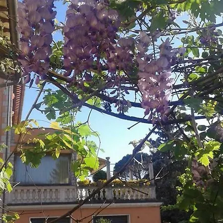 Le Rondini Apartment
