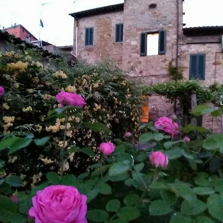 Le Rondini * Petrignano